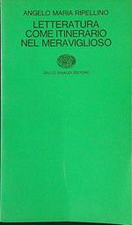 Letteratura come itinerario nel meraviglioso