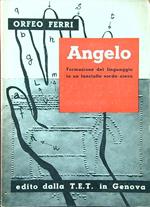 Angelo. Formazione del linguaggio in un fanciullo sordo-cieco