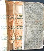 La secchia rapita