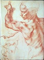 Histoire d'un art. Le dessin
