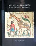 Arabic manuscripts II