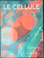 Le  cellule