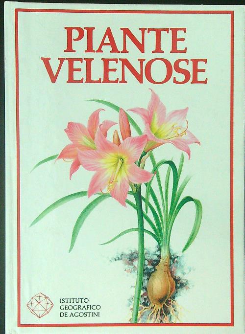 LIBRACCIO VINTAGE