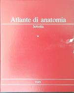 Atlante di anatomia 3 vv