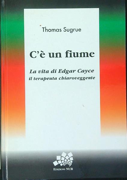 C'è un fiume - Thomas Sugrue - copertina