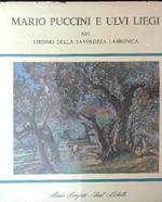 Mario Puccini e ulivi liegi