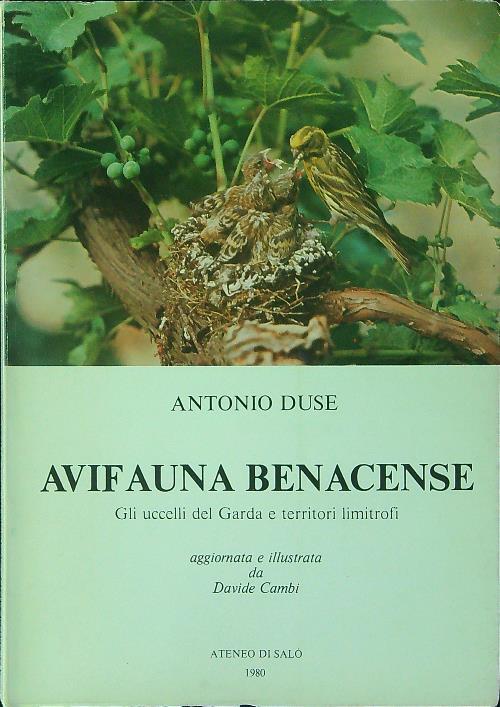 Avifauna Benacense - Antonio Duse - copertina
