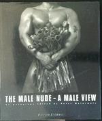 The  male nude - A male view