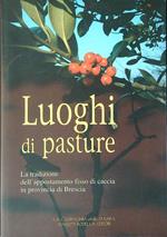 Luoghi di pasture