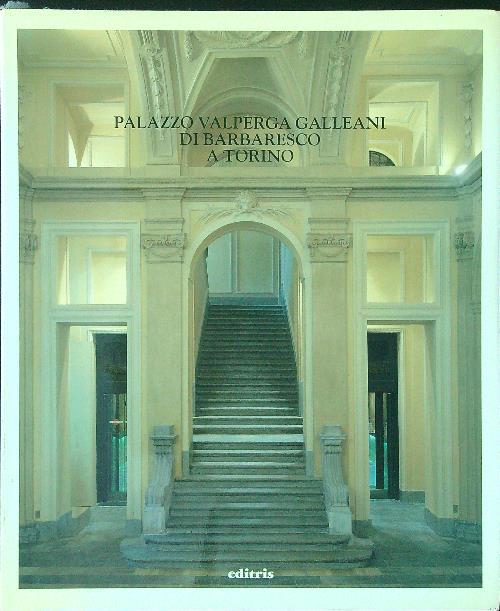 Palazzo Valperga Galleani di Barbaresco a Torino - copertina