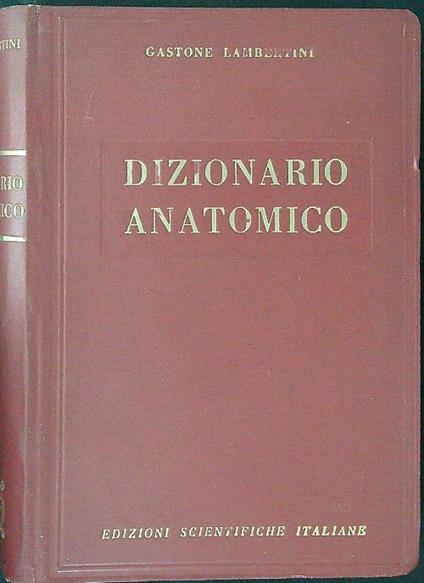 Dizionario anatomico - Gastone Lambertini - copertina