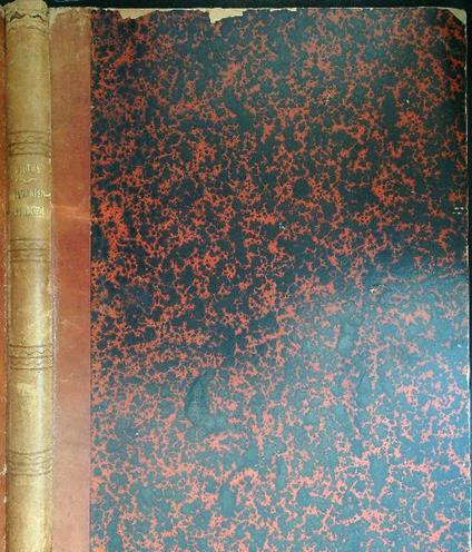 Il  paradiso perduto - Giovanni Milton - copertina