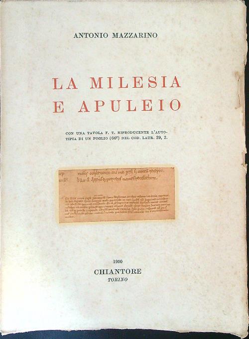 LIBRACCIO VINTAGE