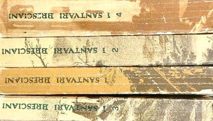 I Santuari Nel Bresciano. 4VV - A. Fappani - copertina