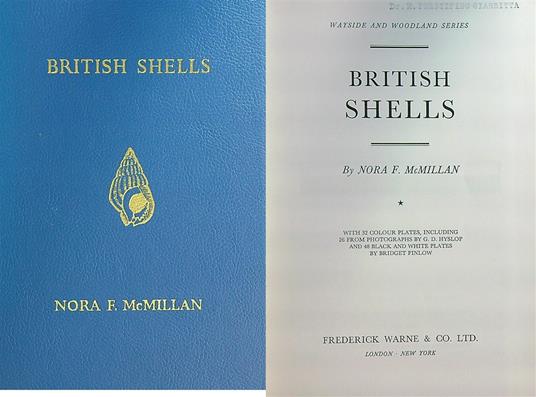 British Shells   - Nora Mcmillan - copertina