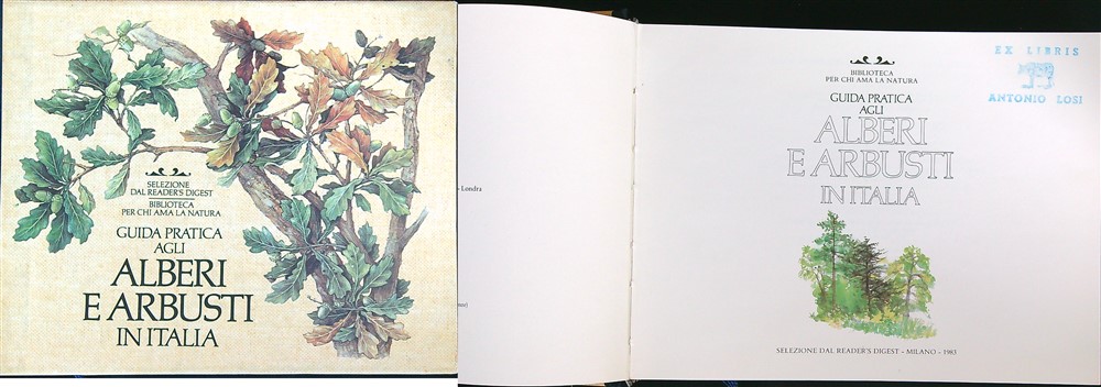 LIBRACCIO VINTAGE