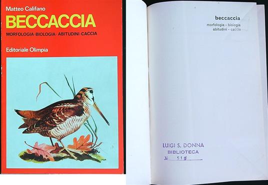 Beccaccia - Matteo Califano - copertina