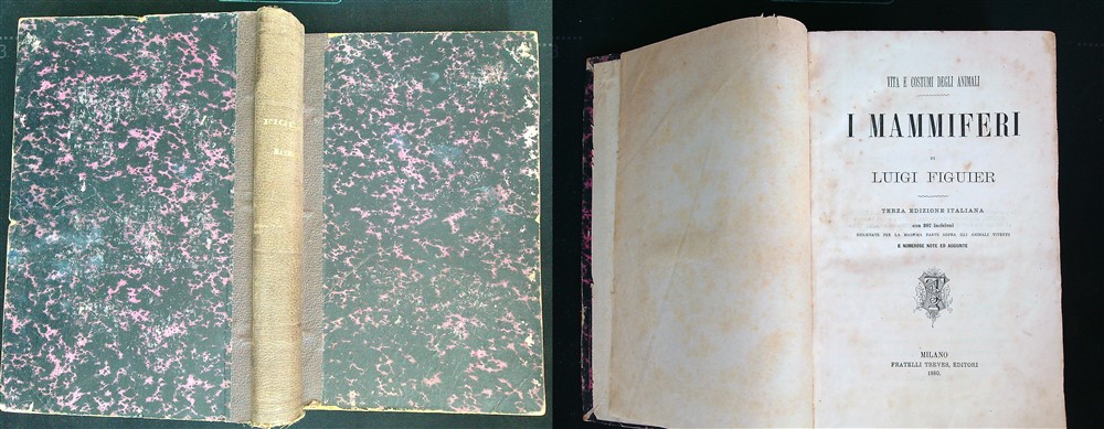 LIBRACCIO VINTAGE