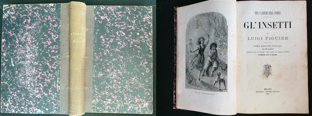 LIBRACCIO VINTAGE