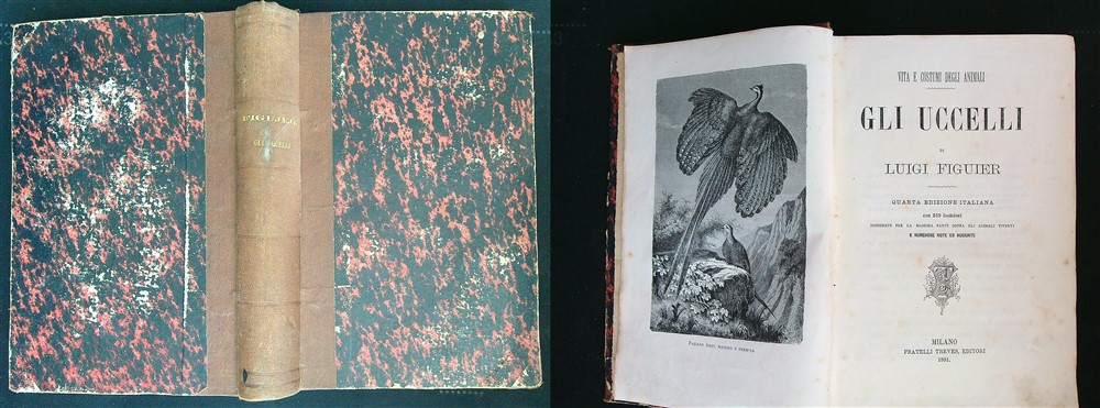 LIBRACCIO VINTAGE