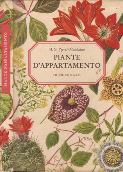 Piante d'appartamento - M. G. Peyrot-Maddalena - copertina