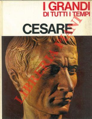 Libreria Piani