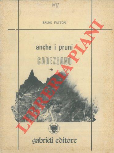 Libreria Piani