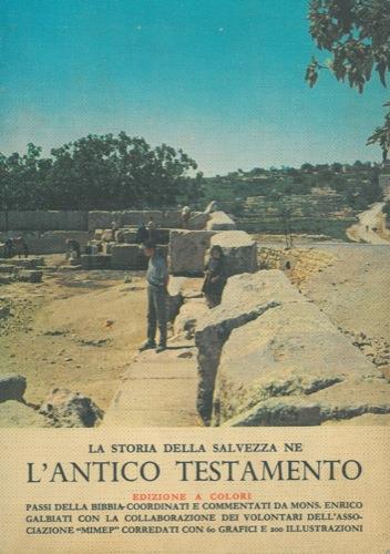 Libreria Max 88