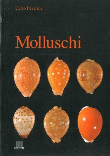 Molluschi - Carlo Pesarini - copertina