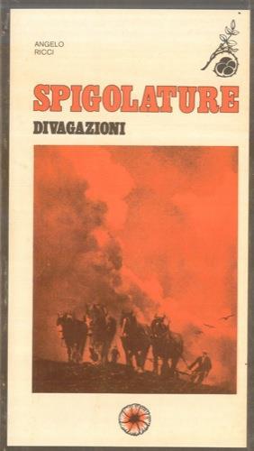 Spigolature. Divagazioni - Angelo Ricci - copertina