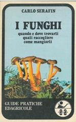 I funghi quando e dove trovarli, quali raccogliere come mangiarli