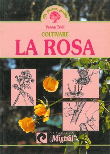 Coltivare la rosa - Vanna Tridi - copertina