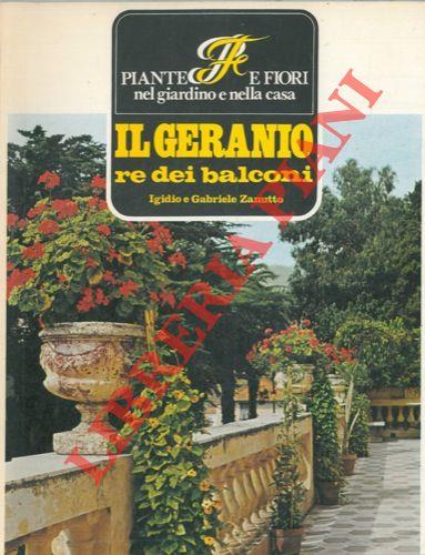 Libreria Piani