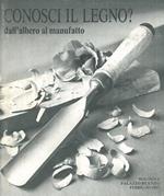 Conosci il legno? Dall' albero al manufatto