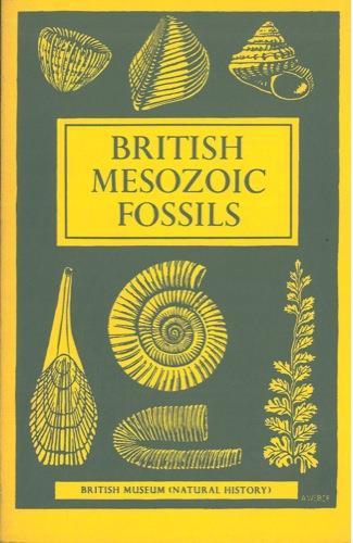 British mesozoic fossils - copertina