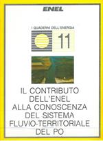 Il contributo dell'Enel alla conoscenza del sistema fluvio-territoriale del Po