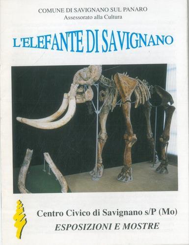 L' elefante di Savignano - copertina