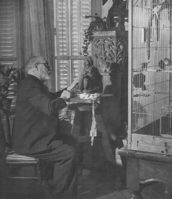 Henri Matisse - copertina