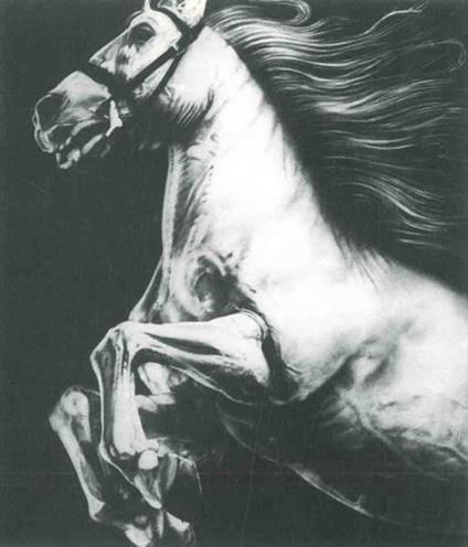 Joseph Piccillo - copertina