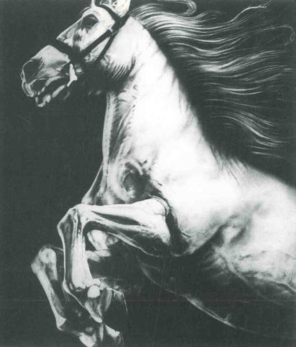 Joseph Piccillo - copertina