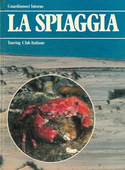 La spiaggia - copertina