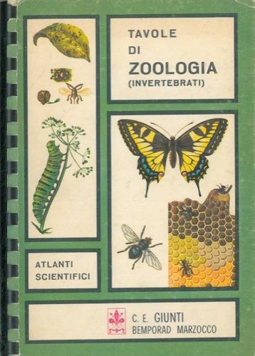 Tavole di zoologia invertebrati - copertina