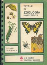 Tavole di zoologia invertebrati