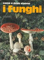 Come e dove vivono i funghi