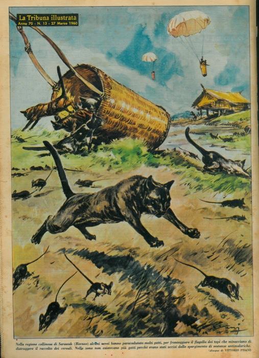 In una cascina di Casalborgone (Torino) una mucca, che si era staccata dall'anello della greppia, usciva dalla stalla. Ma nell'ingresso pendeva una lampadina attaccata a un filo mobile della tensione di 220 volt - Vittore Pisani - copertina