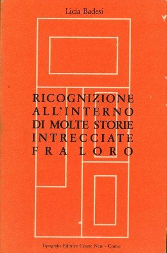 Ricognizione all'interno di molte storie intrecciate fra loro - Licia Badesi - copertina