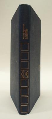 Il viaggio misterioso - Alberto Bevilacqua - copertina