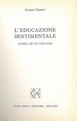 L' educazione sentimentale. Storia di un giovane