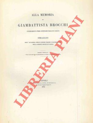 Libreria Piani