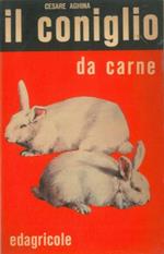Il coniglio da carne
